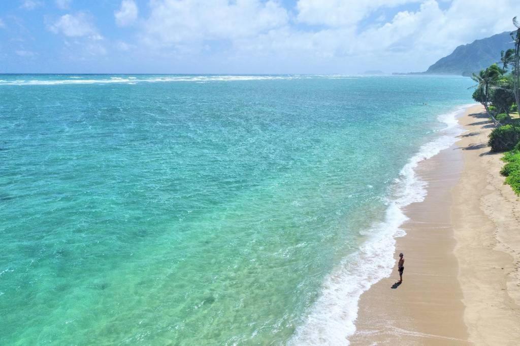Hau'ula Pats At Punalu'U 아파트 호텔 외부 사진